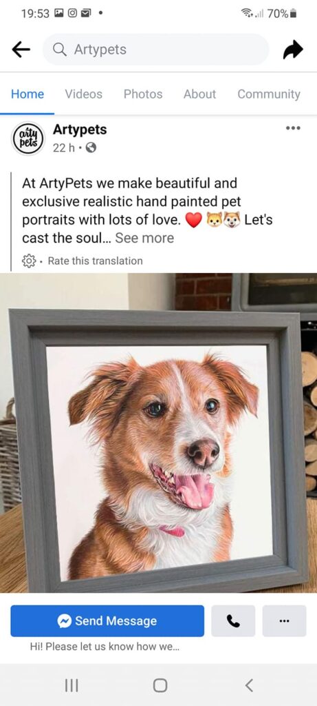 screenshot of a facebook artwork theft scam Artypets pet portraits