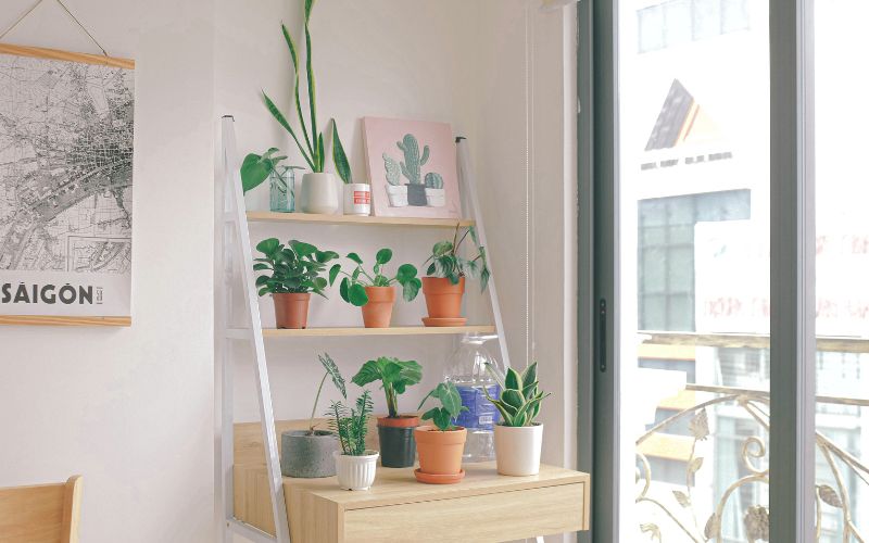 a white wall with a contemporary shelving unit in front of it with plants on the shelves